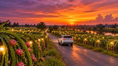Xe du lịch đi Châu Thành (Long An)