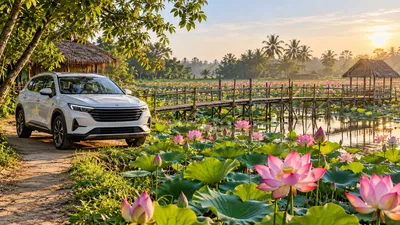 Dịch vụ thuê xe đi Thạnh Hóa