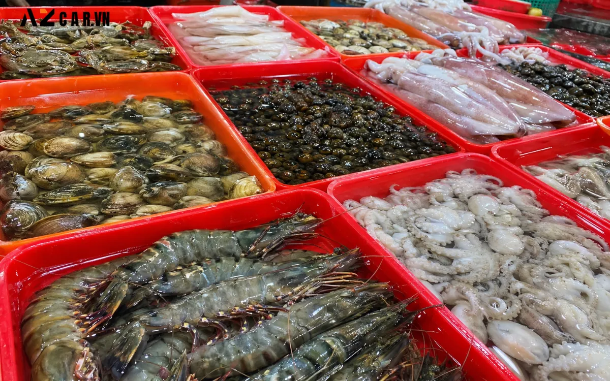Hải Đăng Vũng Tàu