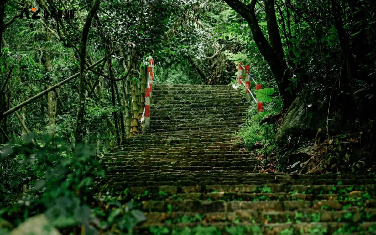 Xe du lịch đi Đại Tòng Lâm