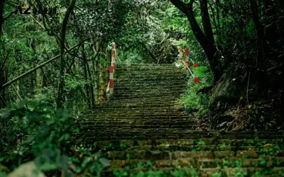 Xe du lịch đi Đại Tòng Lâm